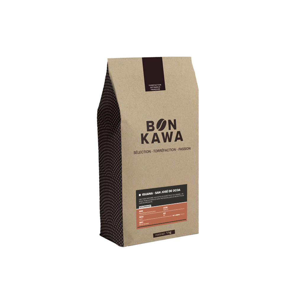 Bonkawa - République Dominicaine - Iguana