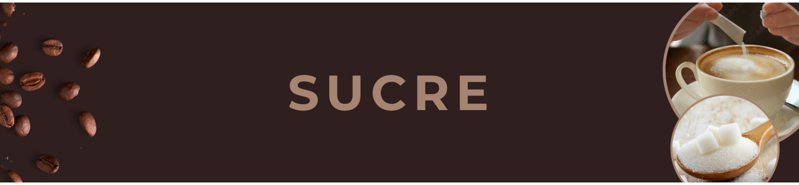 Sucre en bûchettes ou en morceaux pour le café et pour le thé