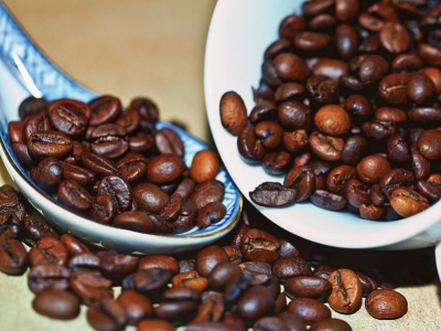 Les différents cépages d'Arabica partie 2